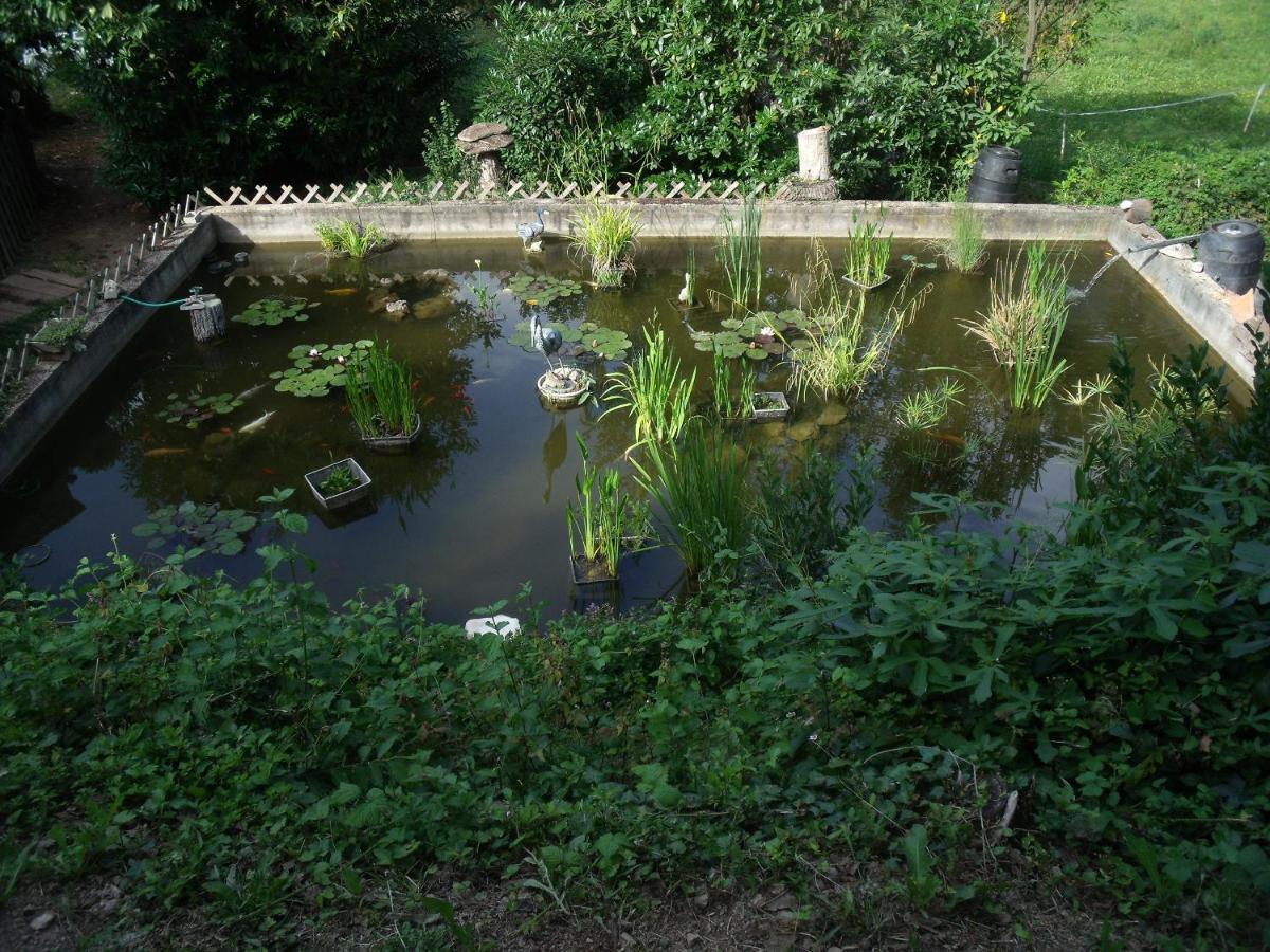 Domaine De La Provenc'Ane Villa ซาแลนส์ ภายนอก รูปภาพ