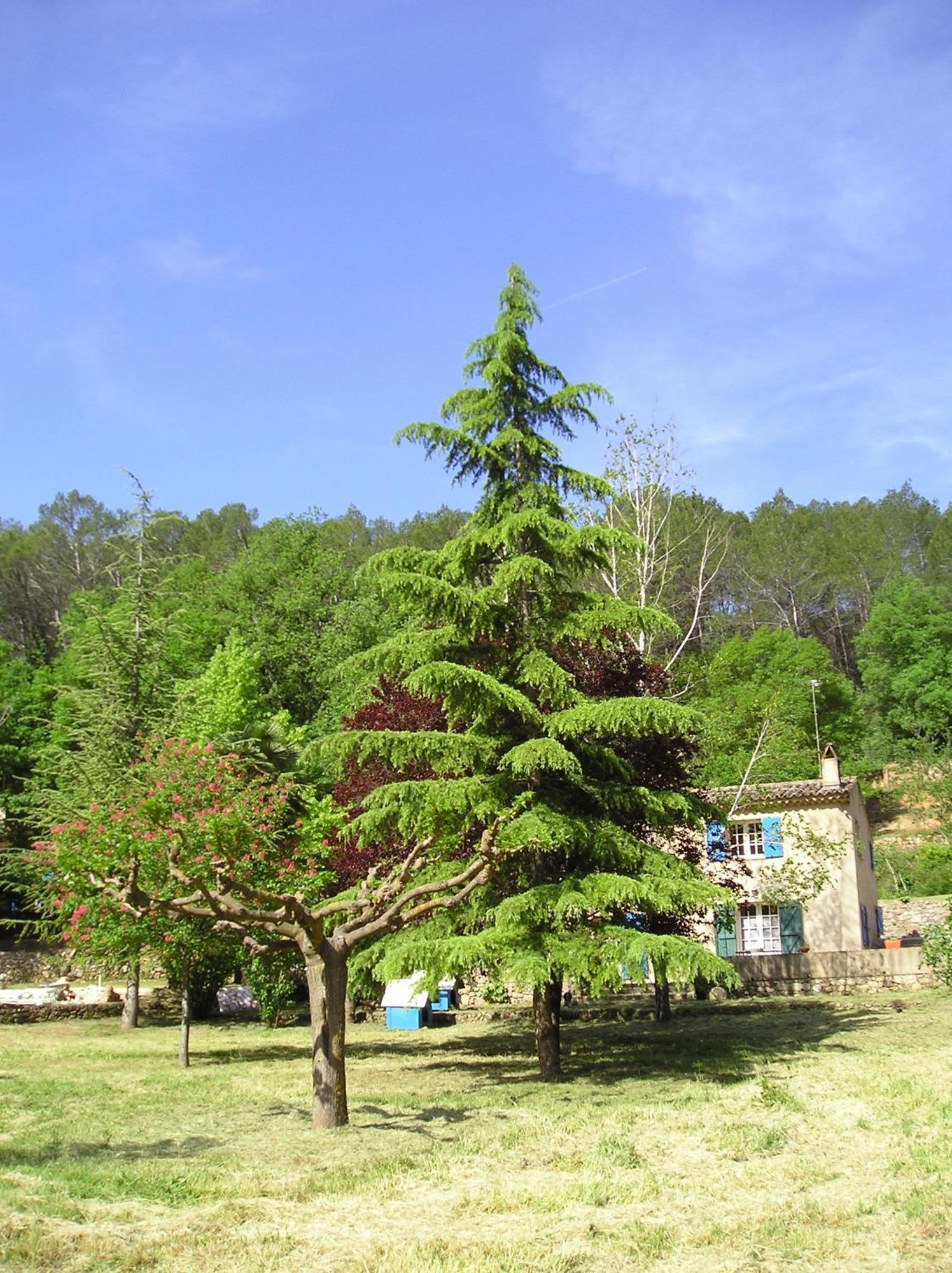 Domaine De La Provenc'Ane Villa ซาแลนส์ ห้อง รูปภาพ